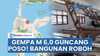 Gempa Magnitudo 6,0 Guncang Poso saat Momen Kemerdekaan RI, Warga Panik Berlarian, Bangunan Roboh