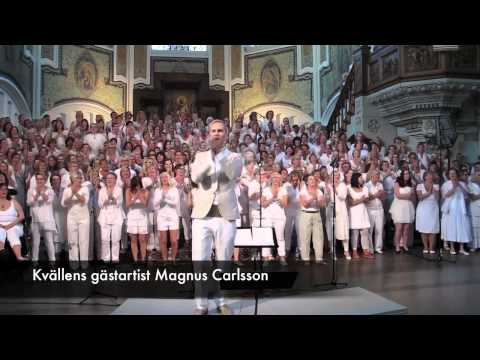 Du kan sjunga gospel, Gabriel Forss, Magnus Carlsson våren 2012