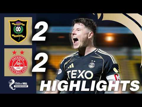 bg-highlight