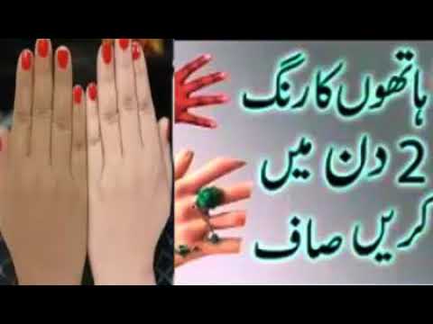 Best Funny Animal Videos Of The 2023 🤣 - Funniest Cats And Dogs Videos 😺😍😂🐶 Funny cat & dog videos 😍