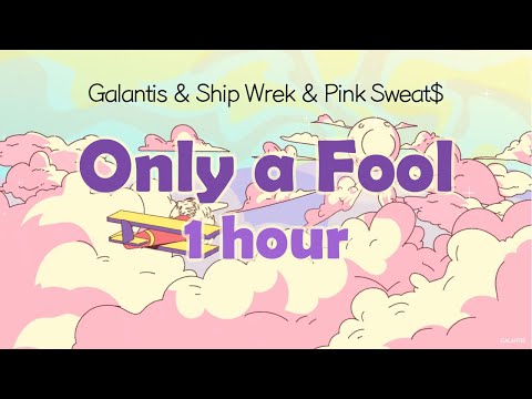 [1 hour] 🌴Only a Fool - ﻿갈란티스, 쉽 렉, 핑크 스웨츠