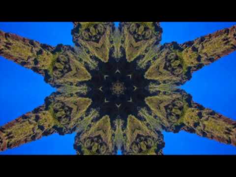 Grizzly R. Magnus - DROP