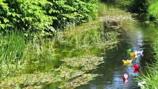 ... Naj bo danes Vaša zadnja misel, preden zaspite: "Bil je čudovit dan!" 🧡