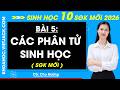 Bài 5. Các phân tử sinh học