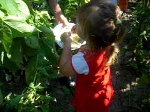 D:\grigoreni,august2008\DSCN0536.MOV