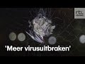 Mens komt door ontbossing dichter bij vleermuizen