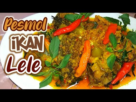 Pesmol Ikan Lele