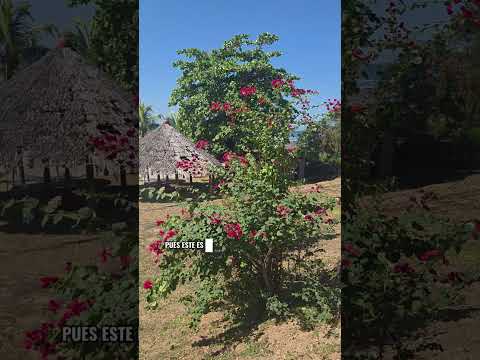 Bello Terreno En Venta Frente a las Costas de Pochomil,  San Rafael Del Sur, Managua Nicaragua 📍