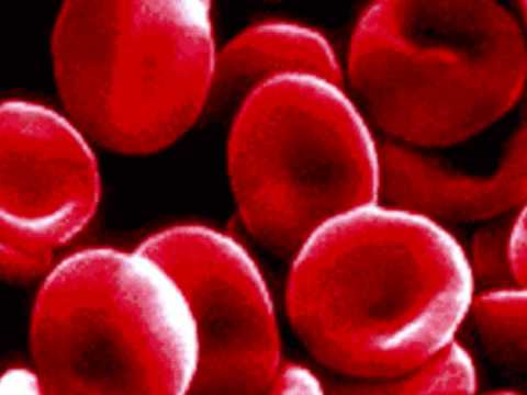 Luciano in the Mix,Fabric 41,Deep House,Tech House,Minimal,