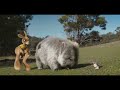 Tourism Australia Come And Say G Day