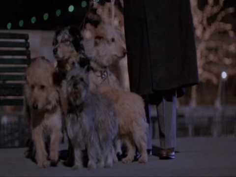 Moonstruck (Stregata dalla Luna)