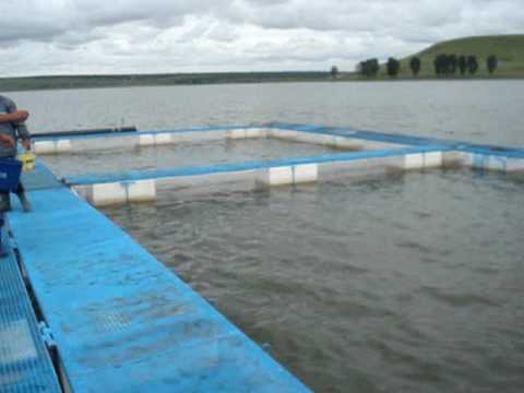 crescătoria lacului fântânele-radovan