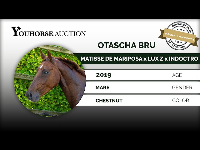 Otascha Bru