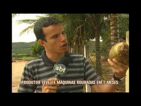 Onda de assaltos preocupa fazendeiros no Sul de Minas