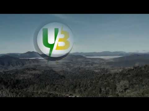 KANDEP WAN KONDO _ PAYAM PARANG #UGLEE_BEE