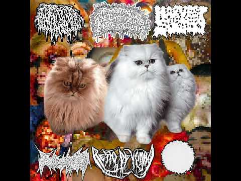 6 - way FULL SPLIT (2025 - Gorenoise / Harshgore)