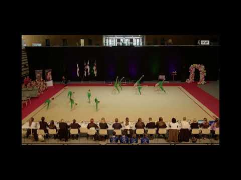 Smágentur Svalan - FM í estetiskum fimleiki 2025