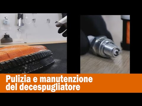Miniatura Video