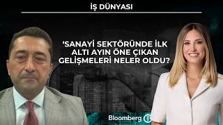 İş Dünyası - Sanayi sektöründe ilk altı ayın öne çıkan gelişmeleri nel