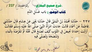 227 شرح صحيح البخاري كِتَابٌ : الْوُضُوءُ  | بَابُ غَسْلِ الدَّم - رقم الحديث 227 || د.ماهر الفحل image