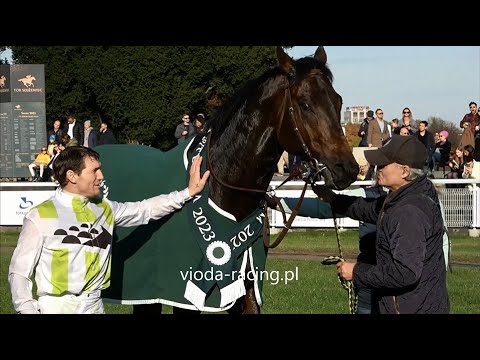 Gon. VII (N. Criterium) - 29.10.2023 - Emiliano Zapata (Garswood - Golden Dirham)