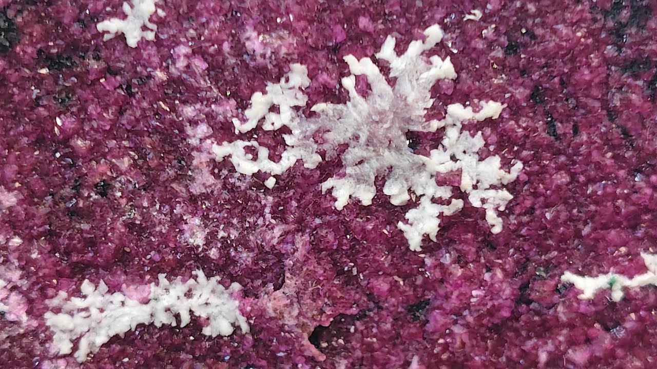 Ep. 180 - Good morning African Mineral, tell.ke how you're doing