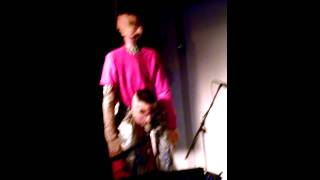 Purchase Power Station, Macula Dog at Palisades