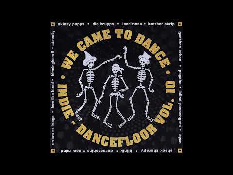 Shock Therapy - Can I Do What I Want?