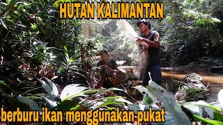 Download lagu BERBURU IKAN KE HUTAN KALIMANTAN MENGGUNAKAN ALAT SEDERHANA HASIL NYA LUMAYAN BANYAK mp3