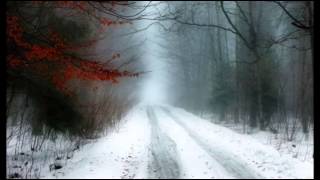 Taliesin Orchestra ~ Snowbound