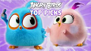 Top Picks of July ☀️ Angry Birds Summer Highlights!