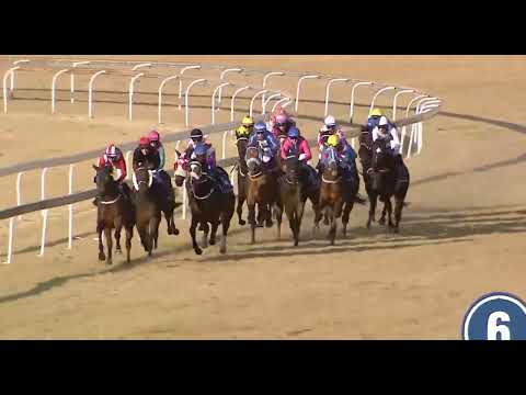 HALLOWEEN - RACE 8 #turffontein 30 JUNE 2022