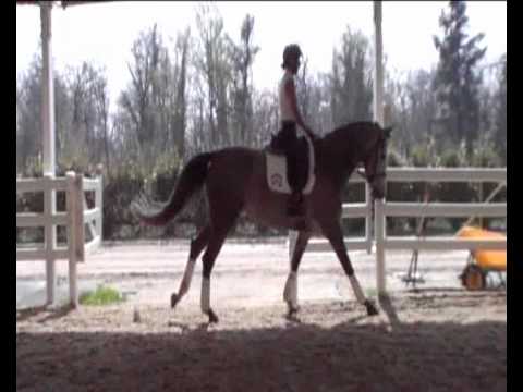 ZIKIKI DI VILLAGANA - ESTER SOLDI.