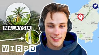 Every Trick a Pro GeoGuessr Player Uses to Win (ft. RAINBOLT) | WIRED