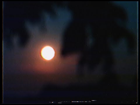 Lexs - Forever Young