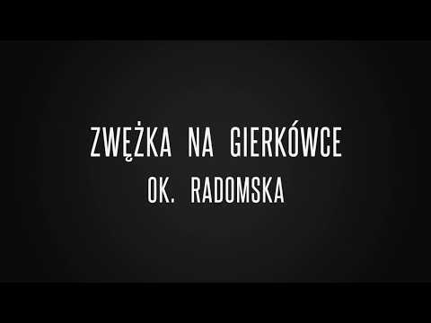 Zwężka na Gierkówce, DK1, Radomsko.