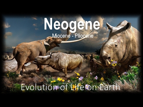 download lagu mp3 mp4 Neogene, download mp3 Neogene free download mp3, download mp3 Neogene