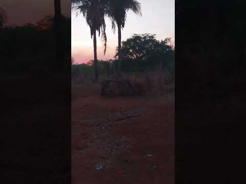 Lagoa do mato Maranhão