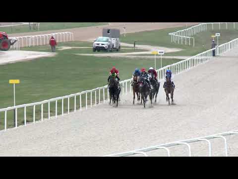 2019.04.14. 02. futam - MEGYERI DÍJ (II.kat.) (szintetikus pálya)