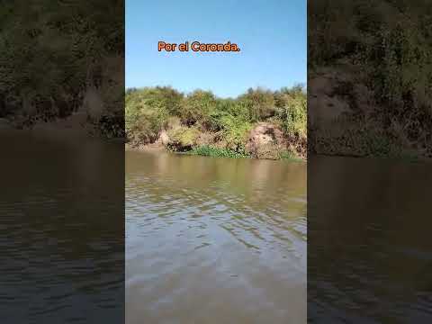 Rio Coronda. Sauce Viejo. Santa Fe.