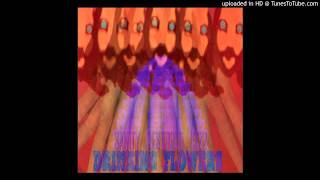 DRINKING FLOWERS- Animals