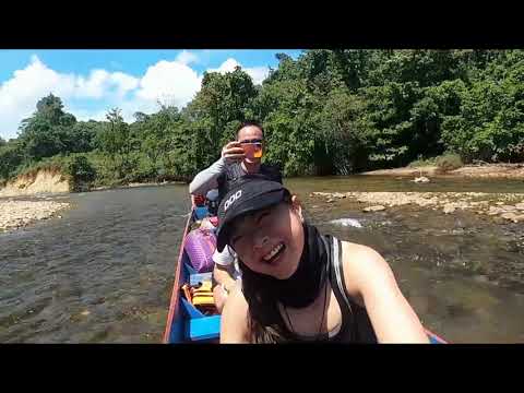 5 days 4 nights Mulu Pinnacles // Mulu National Park - Toughest Full Day Hike in Malaysia #borneo