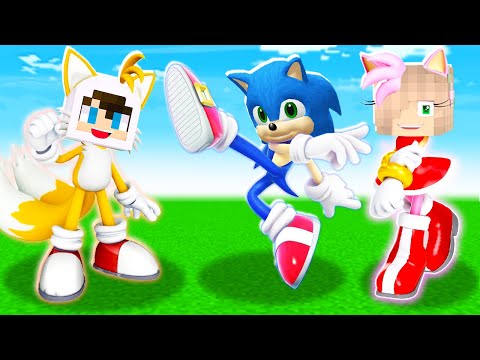 ENES ARSLAN SONİC KARAKTERLERİNE DÖNÜŞTÜ - 😱 Minecraft