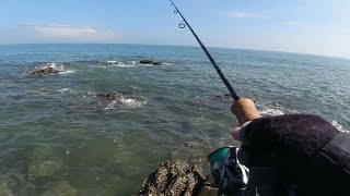海里的罗飞罗飞拉力也太劲爆了吧，2.5号前导都切了