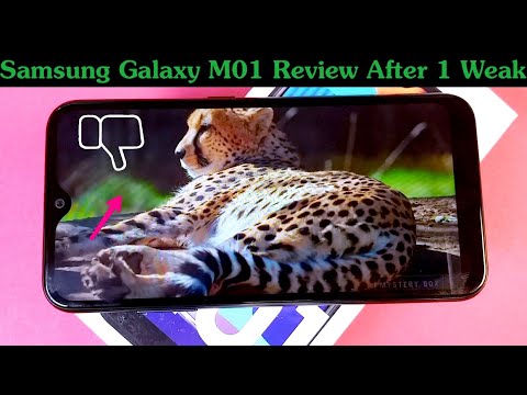 Samsung Galaxy M01 Full Review - Camera, Performance, Battery, Pubg Mobile Game, Buy or Not?