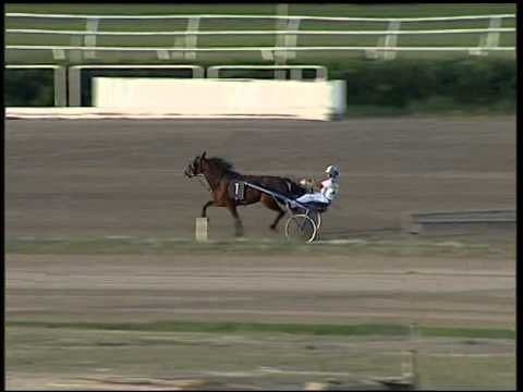 Trotto 09/10/2014 - 1° prova di riqualifica