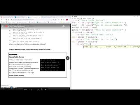Year 9 Python Challenge 1