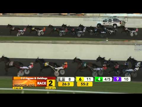 June 21, 2014 - Race 2 - Cobalt Man