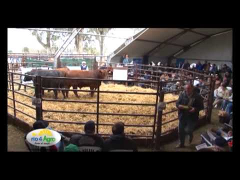 CABAÑA EL SEÑUELO- 3ER REMATE ANUAL - 2013-