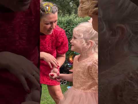 Animatron. DJ PitkiN feat. AnaStella - C Днем Рождения! Чебурашка на даче